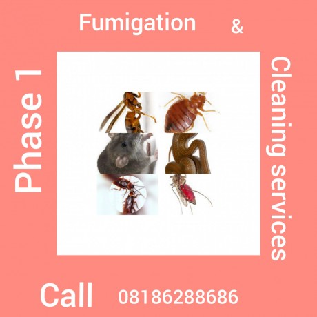 Phase 1, Fumigation & Cleaning Services