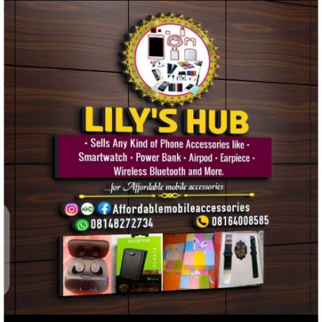 Lily's Hub