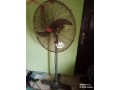 standing-fans-small-0