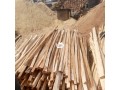 apotu-thick-both-hard-wood-and-soft-wood-for-roofing-small-0