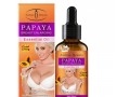 papaya-for-increase-of-boost-small-0