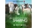 cow-meat-sharing-small-0