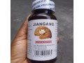 jiangang-brain-capsule-small-0