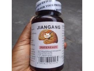 Jiangang brain capsule