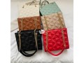 ladies-handbag-small-0