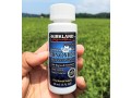 kirkland-signature-minoxidil-hair-beard-growth-oil-abuja-fct-small-0