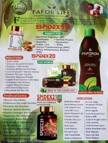 Classified Ads In Nigeria, Best Post Free Ads - faforlife-supplement-big-4