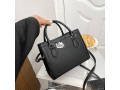 classy-handbag-small-0