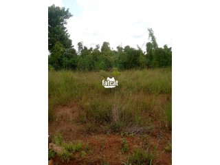 A Plot of Land for Sale at Abakaliki Int'l Airport Road.