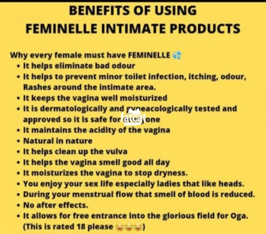 Classified Ads In Nigeria, Best Post Free Ads - feminelle-intimate-wash-big-2