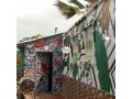 mural-painting-and-graffiti-wall-art-small-2