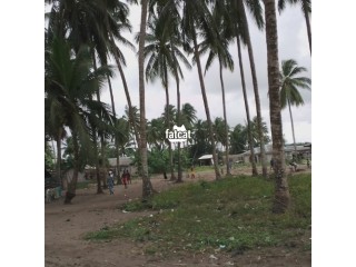 For sale 5 plots of land with coconut on it at Badagry town