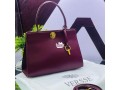 vesasan-click-bag-blackred-purplegreen-brown-small-4