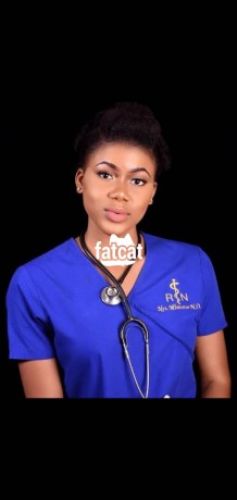 Classified Ads In Nigeria, Best Post Free Ads - medical-scrubs-big-2