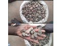 raw-cashew-nuts-small-2