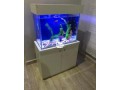 aquarium-products-small-0