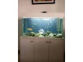 aquarium-products-small-1
