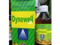 dynewell-syrup-gain-weight-faster-in-abuja-small-0