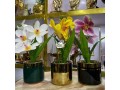 orchid-table-flowers-small-1