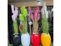 sea-fibre-potted-feather-plant-small-1