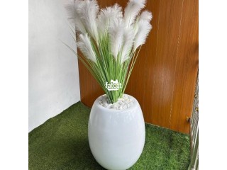 Sea Fibre Potted Feather plant