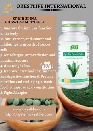 Classified Ads In Nigeria, Best Post Free Ads - spirulina-chewable-tablets-100-caps-big-0