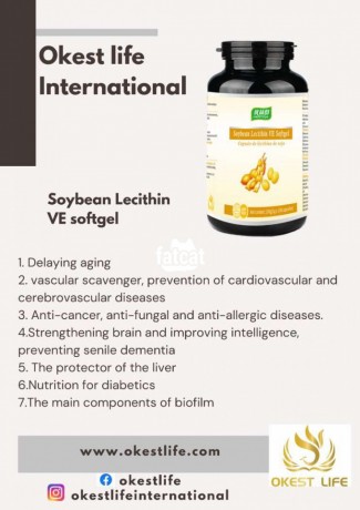 Classified Ads In Nigeria, Best Post Free Ads - soybeans-lecithin-100-tablets-big-0