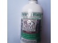 mens-drive-with-maca-root-small-0