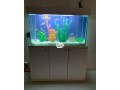 standing-aquarium-small-1