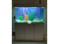 standing-aquarium-small-0