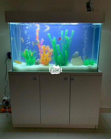 Classified Ads In Nigeria, Best Post Free Ads - standing-aquarium-big-0