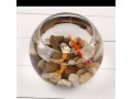 fish-bowl-aquarium-small-0