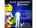 olax-cleaning-services-small-0