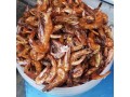 we-have-dry-and-fresh-snail-for-sale-small-1