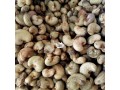 cashew-maize-sesame-seed-soyabeans-cassava-small-0
