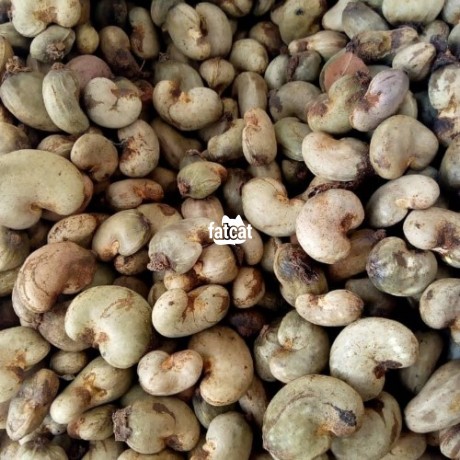 Classified Ads In Nigeria, Best Post Free Ads - cashew-maize-sesame-seed-soyabeans-cassava-big-0