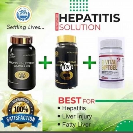 Classified Ads In Nigeria, Best Post Free Ads - fatty-liver-and-hepatitis-supplements-big-0