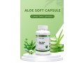 discover-the-secret-to-timeless-beauty-with-youth-ever-aloe-vera-small-2