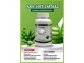 discover-the-secret-to-timeless-beauty-with-youth-ever-aloe-vera-small-1