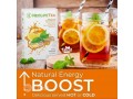 neolife-gnld-tea-small-0