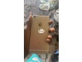 apple-iphone-6s-plus-small-4