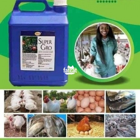 Classified Ads In Nigeria, Best Post Free Ads - sure-gro-liquid-fertilizer-big-0