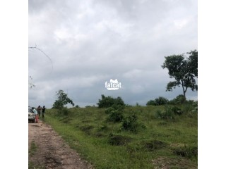 Extremely Tabled And Affordable Plot Of Land For Sale