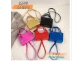 fashion-and-function-bags-small-4