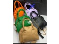 fashion-and-function-bags-small-2