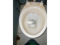 squaring-power-for-toilets-powerfully-toilet-cleaner-small-1