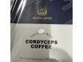 norland-healthway-cordyceps-coffee-small-0