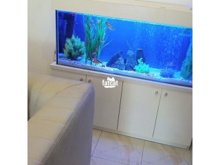 We Offer Both Locally Made And Imported Aquarium