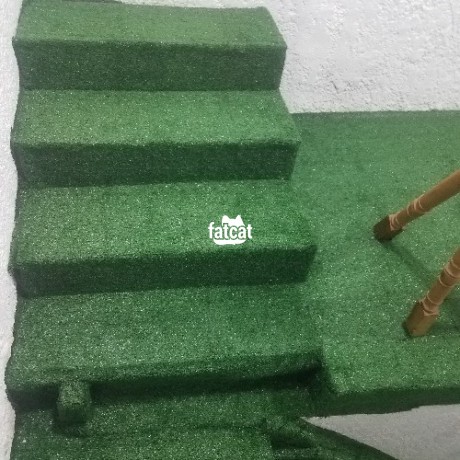 Classified Ads In Nigeria, Best Post Free Ads - artificial-grass-carpets-2600-per-sqm-big-1