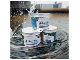 Nutrifix Natural Extract - Detoxifier